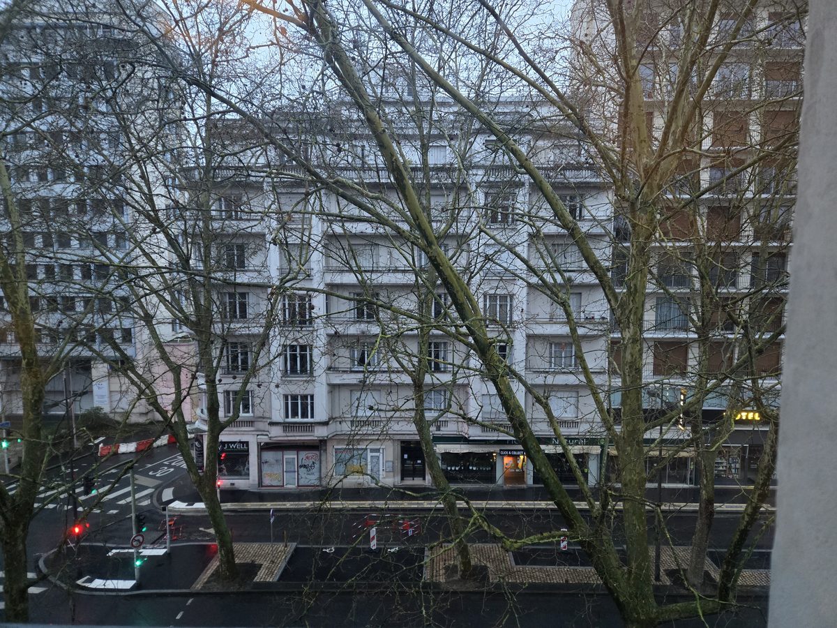 The view from the apartment window on a gray morning — bare trees, rooftops, cobblestone street