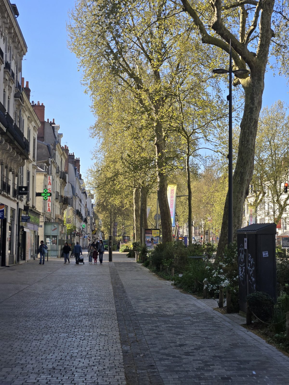 The same boulevard weeks later — trees in full leaf, bright spring sunlight
